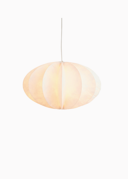Pumpkin White