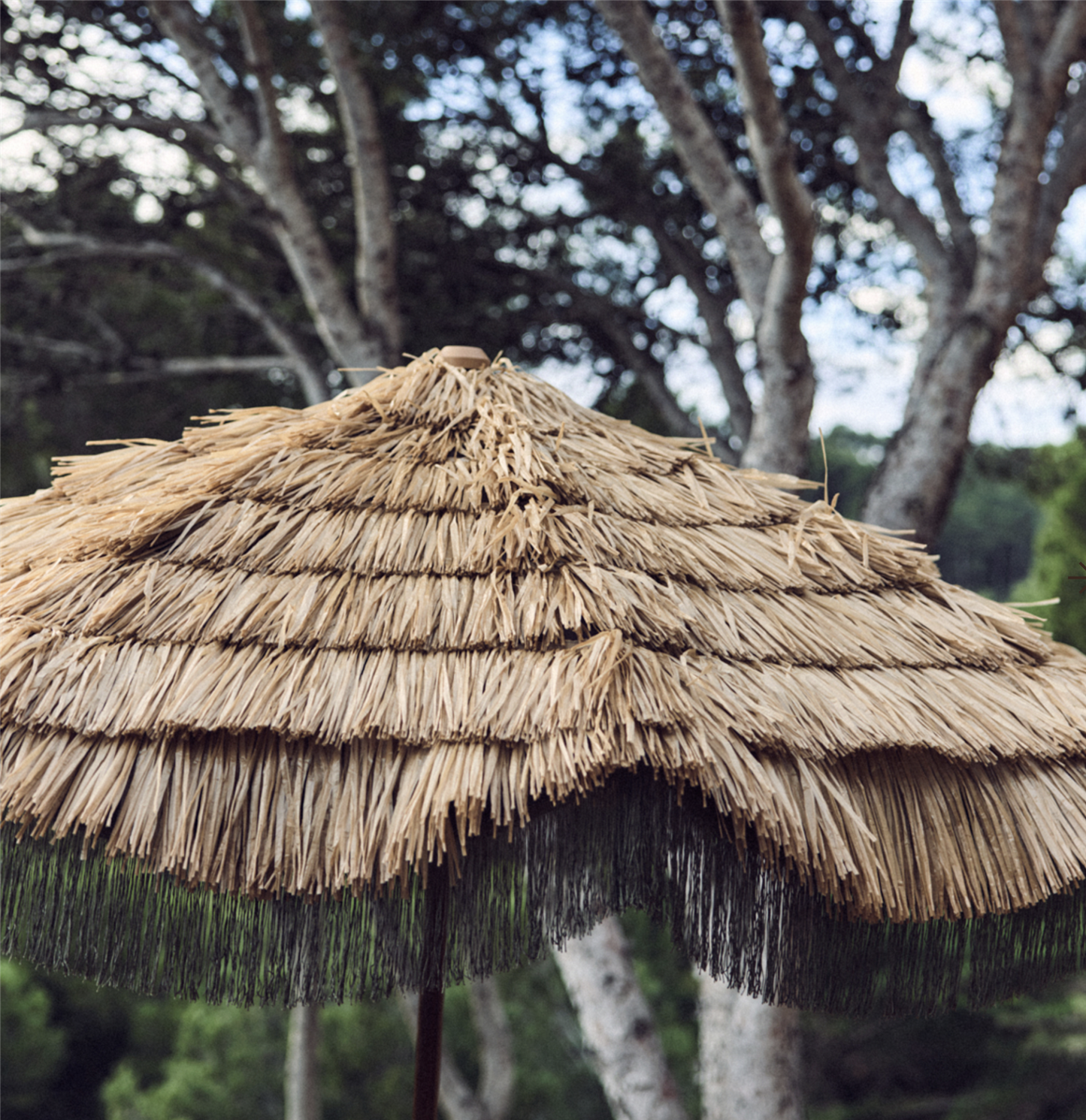 Serengeti umbrella
