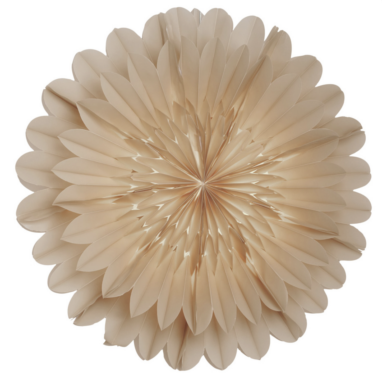 Lotus 60 Beige