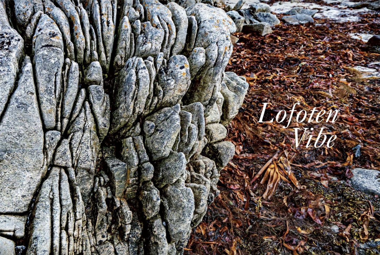 Lofoten Vibe coffeetable book