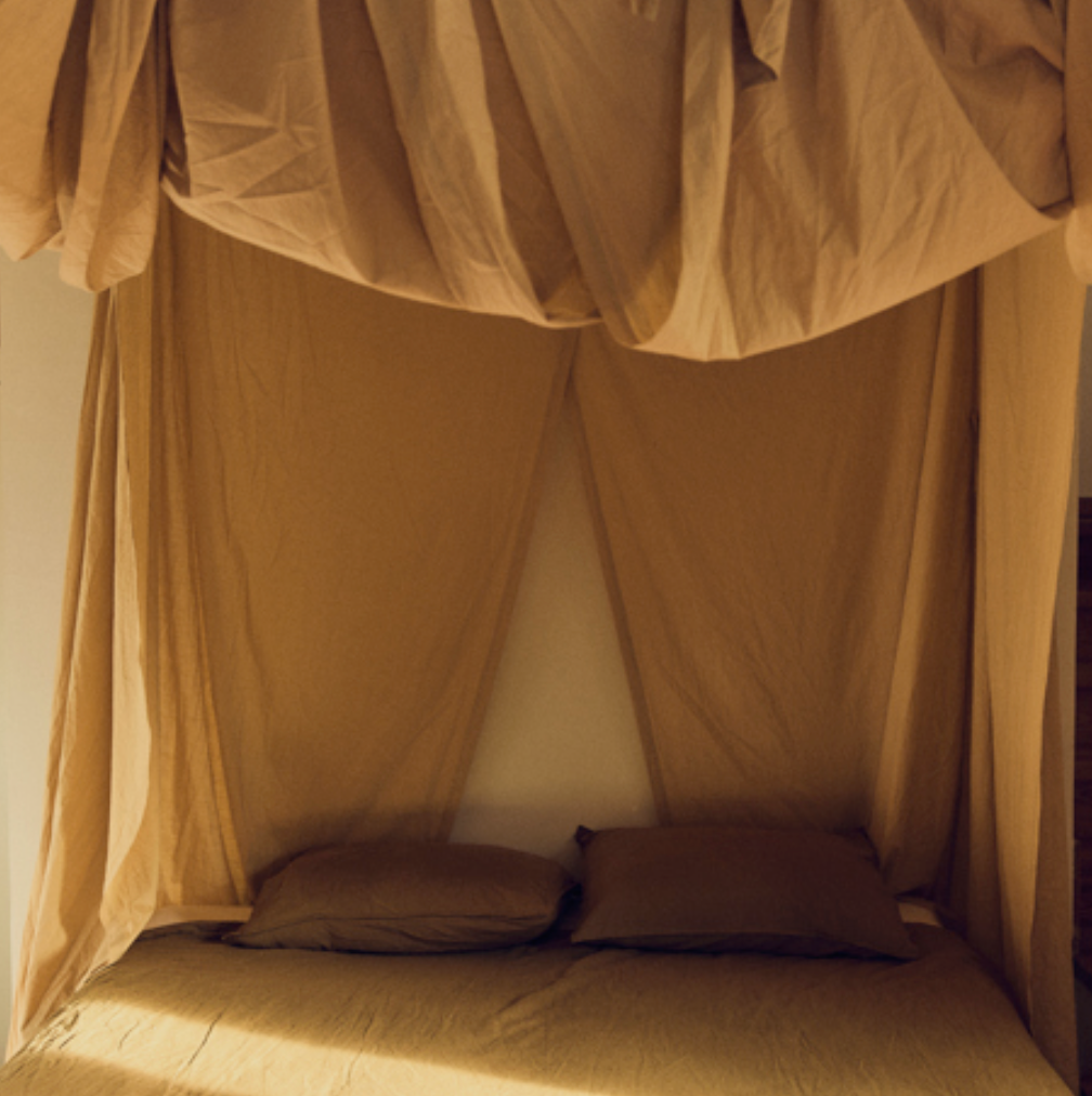 Bed canopy golden hour