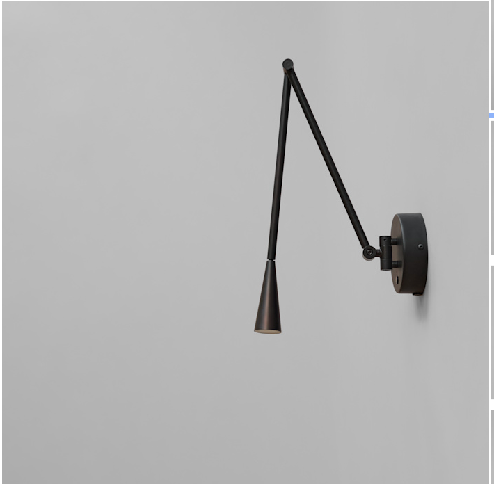 Snake Wall Lamp - Black
