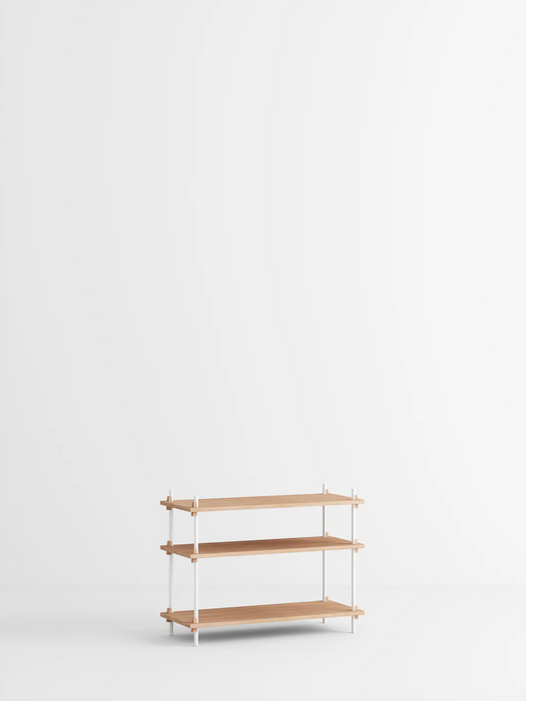 Shelving System – s.65.1.A