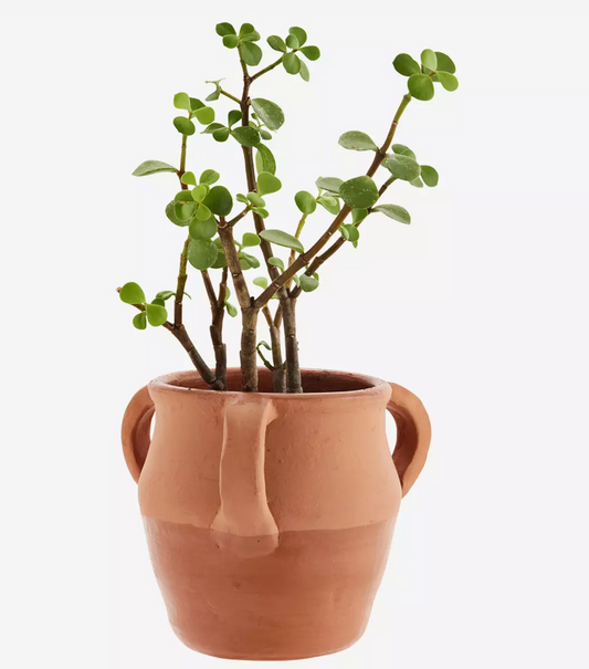 Terrakotta blomsterpotte med handtak