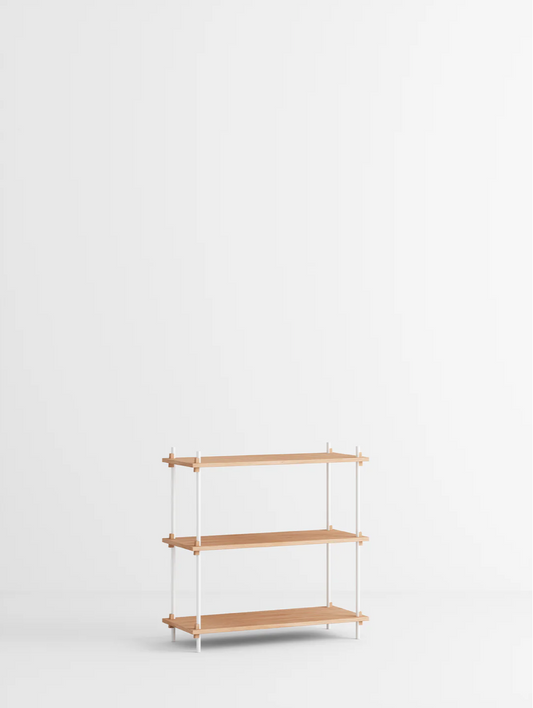 Shelving System – s.85.1.A