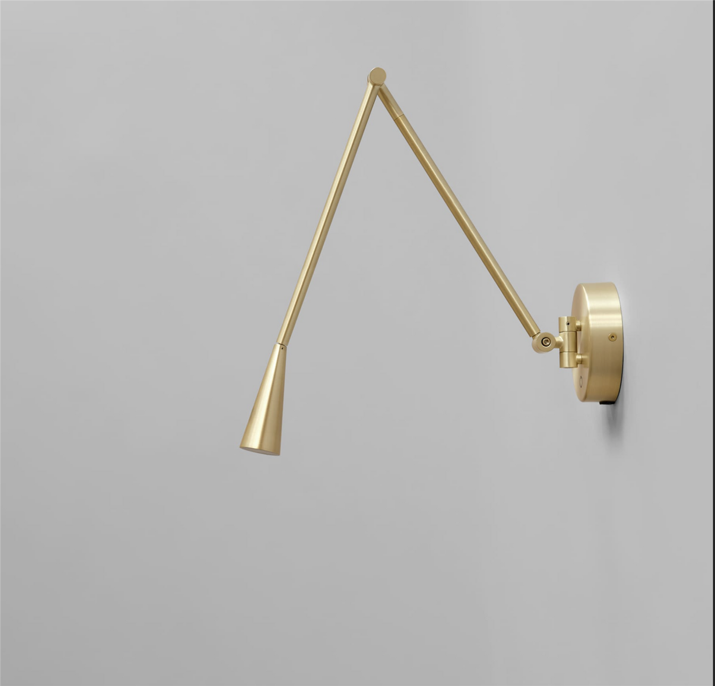 Snake Wall Lamp - Brass